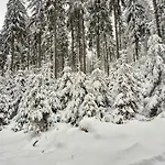 Wypoczynkowy Zakatek W Gorach Chalet