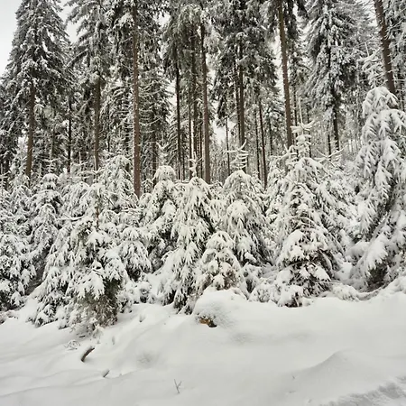 Wypoczynkowy Zakatek W Gorach شاليه