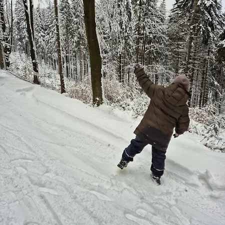 Chalet Wypoczynkowy Zakątek W Górach
