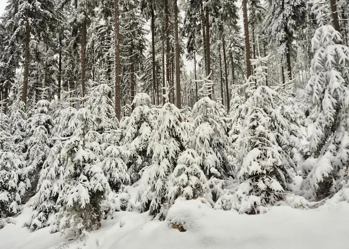 Wypoczynkowy Zakatek W Gorach Dağ evi