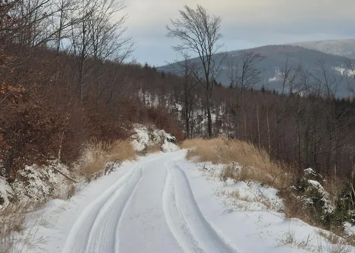 Wypoczynkowy Zakatek W Gorach Horská chata Stronie Śląskie